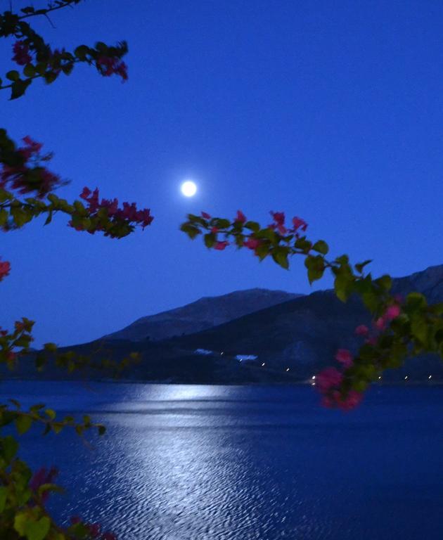 Апарт готель Ilidi Rock Livadia  Номер фото